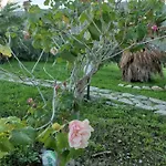 L'oasi Nello Zingaro * سكوبيلو